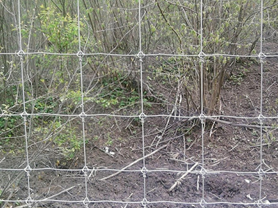 福建鹿網(wǎng)圍欄