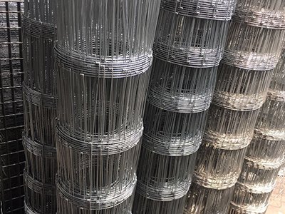 福建草原牛欄網(wǎng)