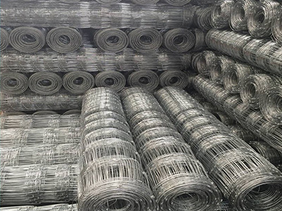 福建牛欄網(wǎng)